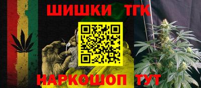 стаф Новозыбков