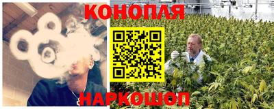 стаф Новозыбков