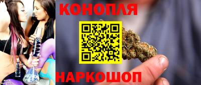 стаф Новозыбков