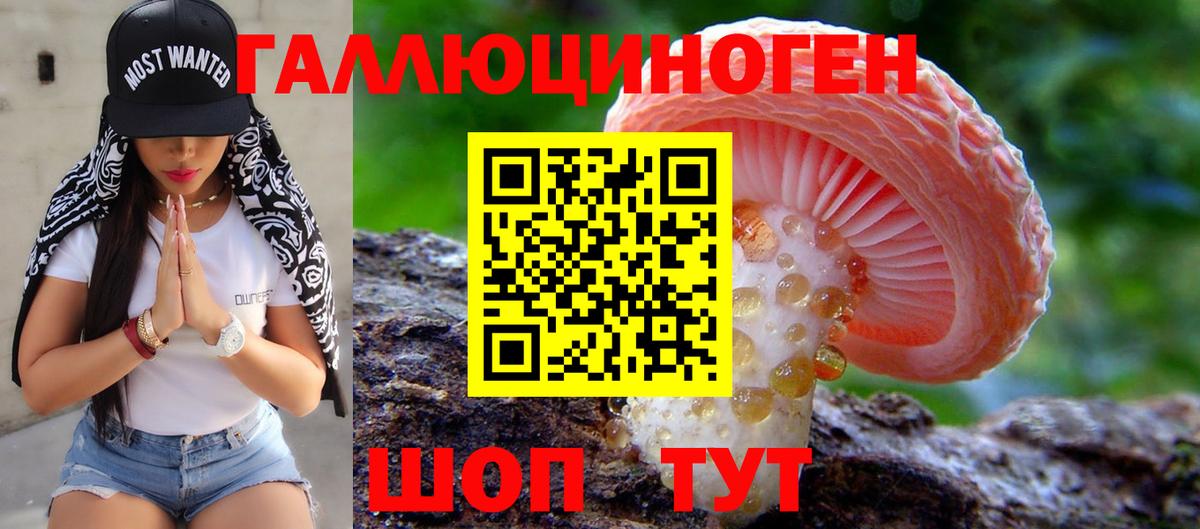 Галлюциногенные грибы Cubensis  Вход с VPN  Сосновоборск 